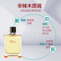 HERMES 爱马仕大地男士香水 100ml