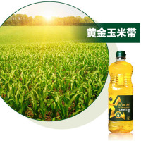 【中华特色】长春馆 金晟源(Jinshengyuan) 玉米胚芽油1Lx10 食用油 压榨一级玉米油 东北