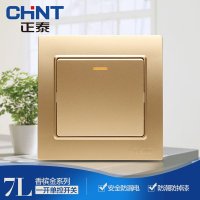 正泰电工 钢架墙壁开关插座面板 NEW7L香槟金色 一开单控开关面板