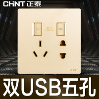正泰(CHNT)电工86型开关插座 高端无边框大面板NEW2H香槟金PVC材质电源插座面板