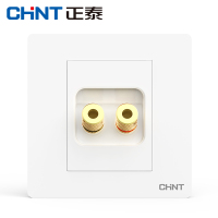 正泰（CHNT） 开关插座面板 2V白色曼哈顿系列无边框大面板大间距开关电源插座 电视插座