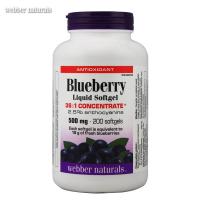 Webber Naturals 蓝莓浓缩精华胶囊 200粒 加拿大进口