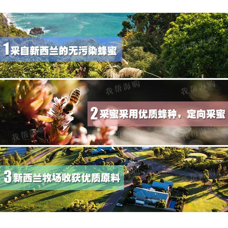 柠檬蜂蜜 [2瓶×500G]STREAMLAND 清肠胃 助消化 缓解压力 美容养颜 营养补充 [海外购 澳洲直邮]