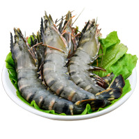 怡鲜来 越南冷冻黑虎虾 盒装 约16尾 活冻草虾 虎虾 斑节对虾 明虾