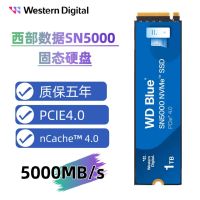 西部数据(WD)SSD固态硬盘 M.2接口 PCIe4.0笔记本电脑台式机固态硬盘 AI电脑配件 SN5000 1TB 蓝盘