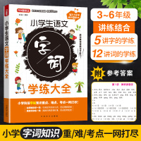 小学生语文字词学练大全练好语文基本功重点难点考点一网打尽三四五六346年级适用通用统编版华语方洲新概念名师教你练真题实战