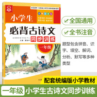 小学生古诗词75+80文言文阅读阶梯强化同步拓展训练一年级语文练习题古诗文阅读理解专项书教辅辅导1年级小古文阅读真题详解