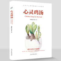 心灵鸡汤 正能量励志书籍