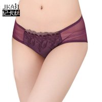 纪卡丝中低腰舒适网纱内裤女透气提臀女士内裤