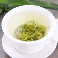 叙府明前碧螺春生态早春茶园特级绿茶茶叶100g