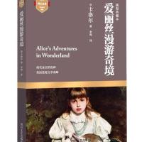 爱丽丝漫游奇境-插图典藏本