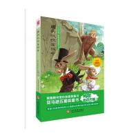 威利叔叔在林中-彩色插图版