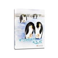 帝企鹅晴晴成长记