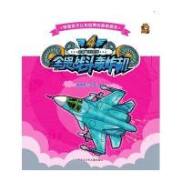 全是战斗轰炸机-全是飞机系列-4