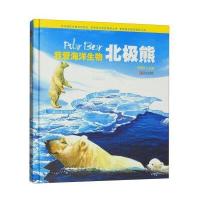 北极熊-我爱海洋生物