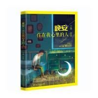 晚安-住在我心里的心