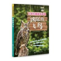 凶猛的飞鸟-小学生趣味科学课