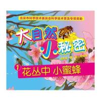 大自然小秘密-(全五册)