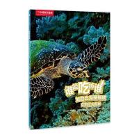 加勒比海珊瑚礁食物链大揭秘-谁能吃掉谁