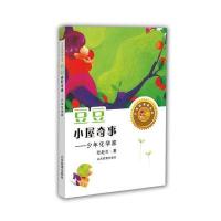 豆豆小屋奇事-少年化学家