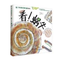 看!蜗牛