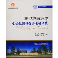 典型地面环境雷达散射特性与电磁成像