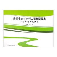 八小水利工程分册-安徽省农村水利工程典型图集