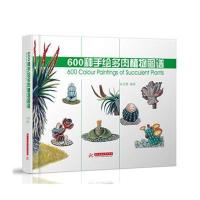600种手绘多肉植物图谱