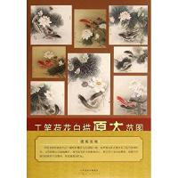 工笔荷花白描原大范图