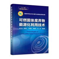 可燃固体废弃物能源化利用技术