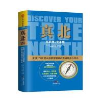 真北-互联网+变革版