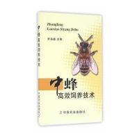 中蜂高效饲养技术