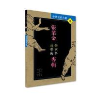 岳家拳技击术-张业金专辑-中华武术大观-肆