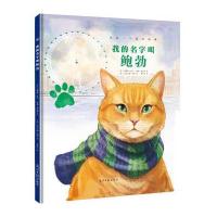 我的名字叫鲍勃-来自一个真实故事