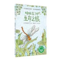 蜻蜓昆丁的生命之旅