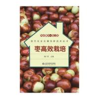 枣高效栽培