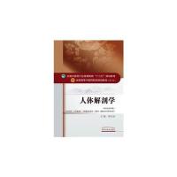 人体解剖学-(新世纪第四版)