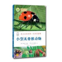 小型无脊椎动物-我与自然的第一次亲密接触