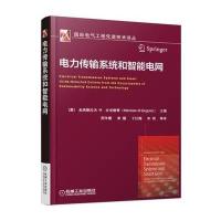 电力传输系统和智能电网