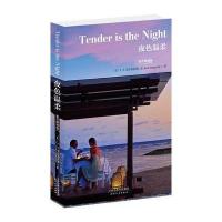 夜色温柔-英文朗读版