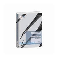 流星-卡雷尔.恰佩克哲理小说三部曲