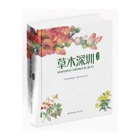 都市篇-草木深圳