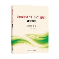 <<能源发展十三五规划>>辅导读本