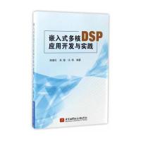 嵌入式多核DSP应用开发与实践