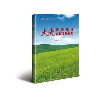 大麦栽培生理及其生产模拟