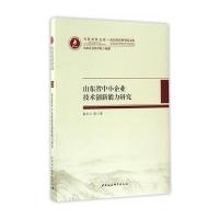 山东省中小企业技术创新能力研究