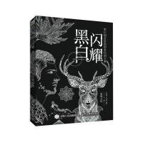 黑白闪耀-黑白创意装饰图案绘制宝典