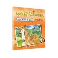 小马蜜糖历险记-我的真实动物朋友