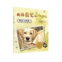 狗武士阿桑-我的真实动物朋友