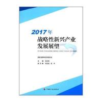2017年-战略性新兴产业发展展望